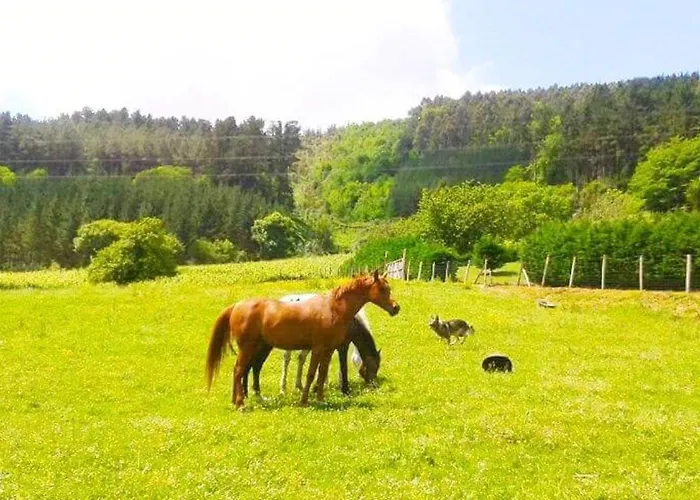 Large House In Gamiz-fica With Mountain View Fica