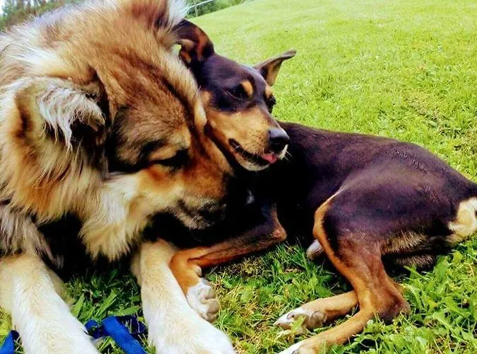 Large House In Gamiz-fica With Mountain View Vakantiehuis *