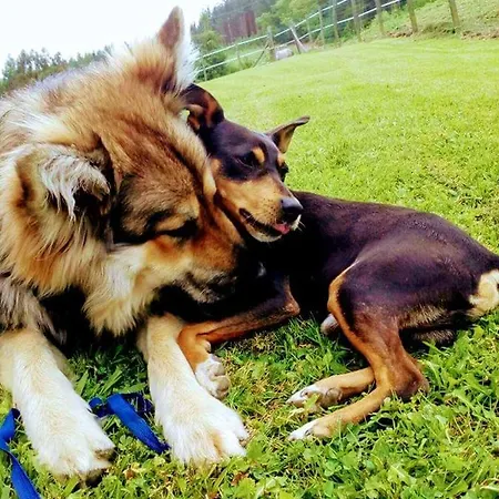 Large House In Gamiz-fica With Mountain View Vakantiehuis *